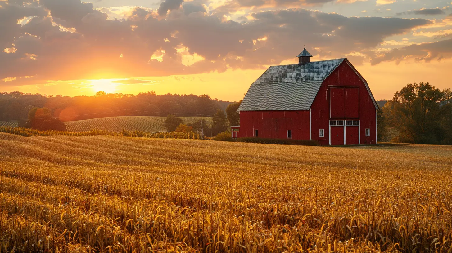 Agricultural Property Taxes: What Farmers Need to Know