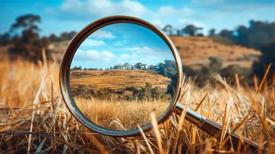 Assessing Property Value Like a Pro in a Buyer’s Market