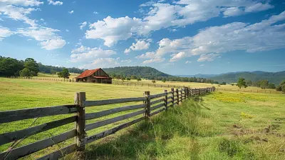 Buying a Rural Property: What You Need to Know Before Making the Move