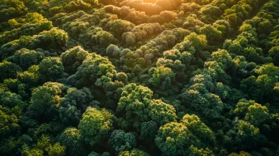 How Property Taxes Are Used to Fund Public Infrastructure