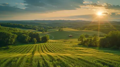 Property Taxes and Zoning: What to Know Before Buying Rural Land