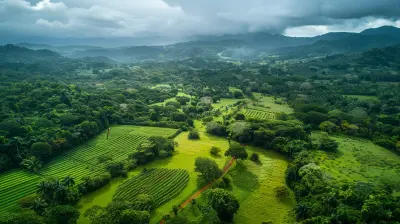 The Many Uses of Rural Land: From Farming to Forestry