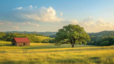 Why Ranch Living Might Be the Perfect Fit for You