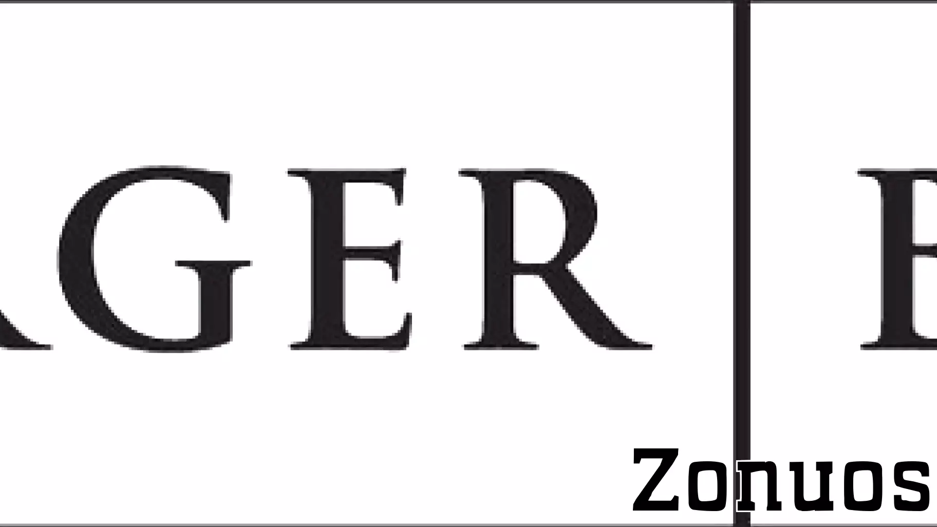 Archena Alagappan Joins Neuberger Berman as Associate Portfolio Manager