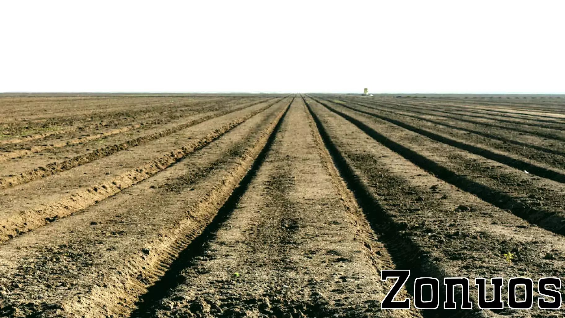 Central Valley Real Estate Transactions: Farmland Sales Lead Latest Deals