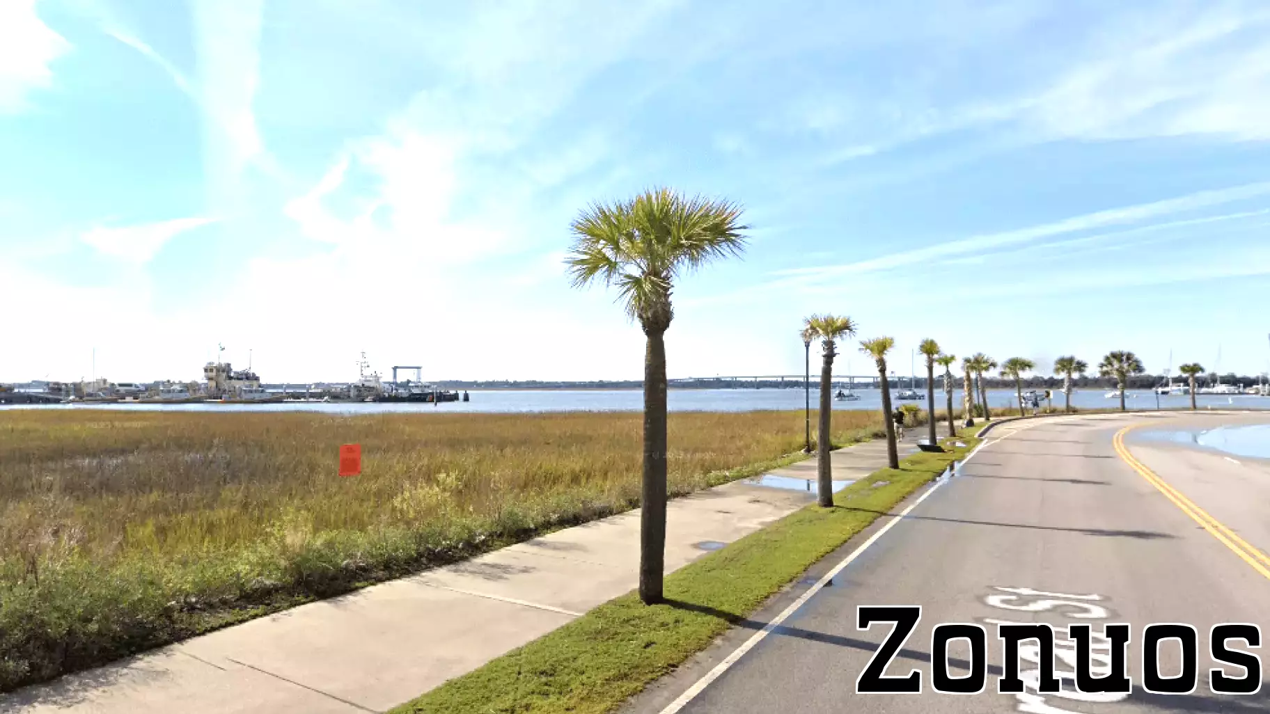 Charleston Firm Withdraws Dock Proposal on Ashley River