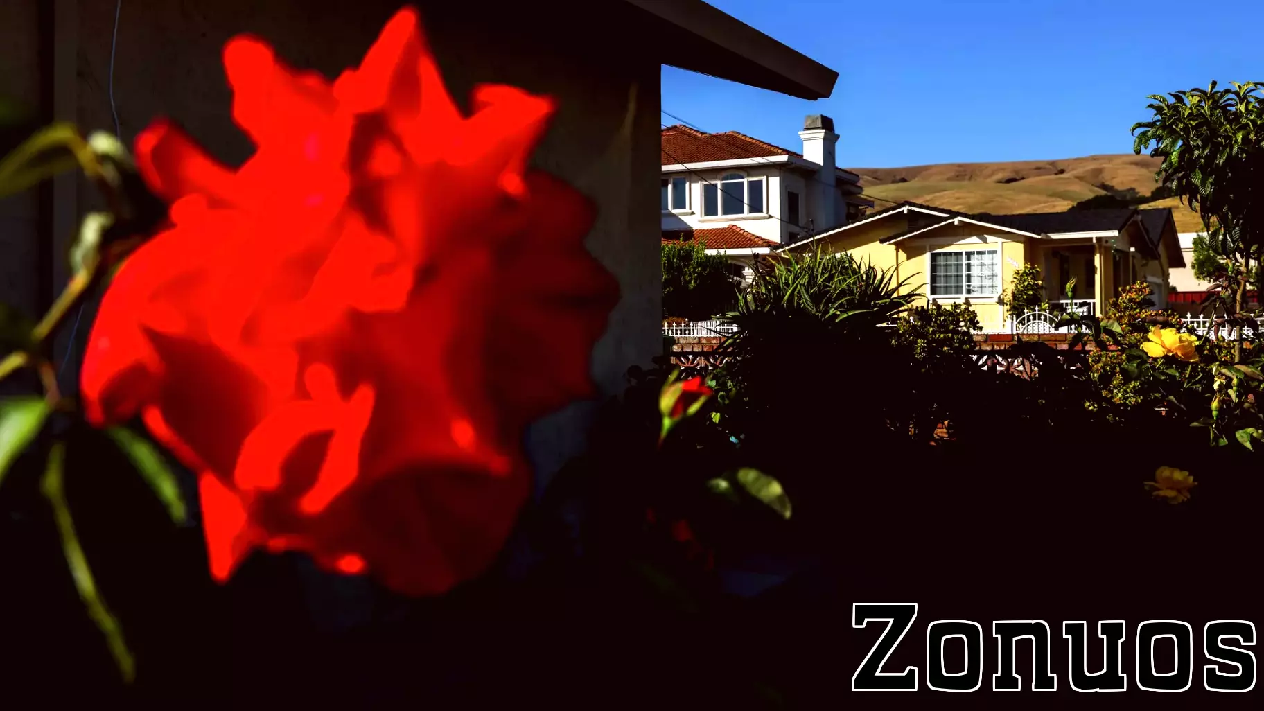 The Bay Area suburb shrinking faster than any other California city