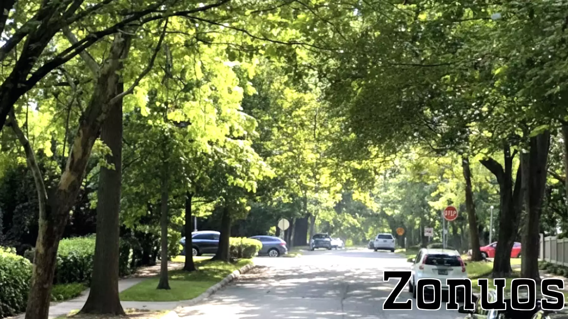 Top 5 Safest Cities in Maryland for 2025 Revealed