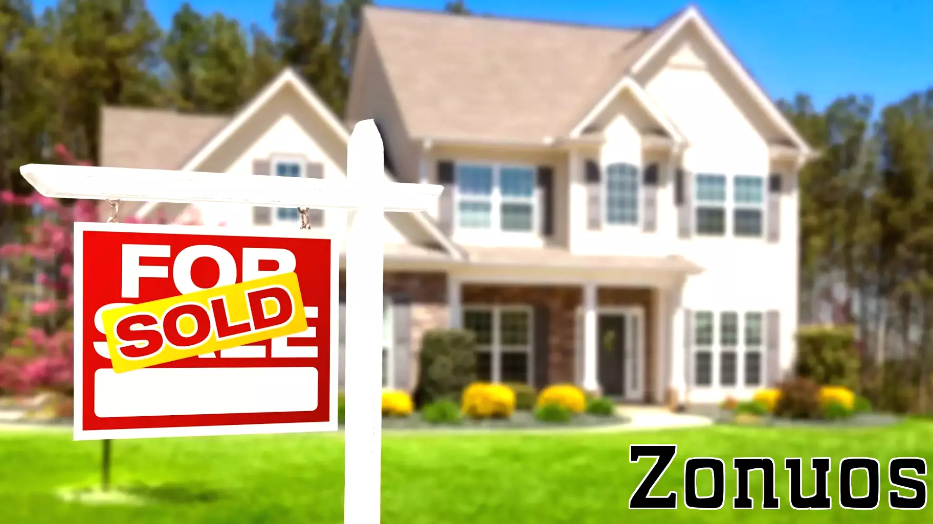Who's on the Move? Discover the Latest Property Transfers