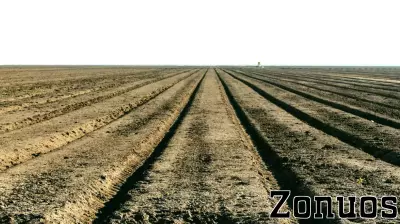 Central Valley Real Estate Transactions: Farmland Sales Lead Latest Deals
